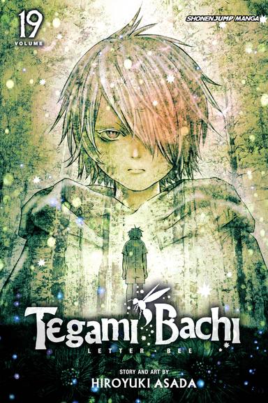 Vol. 19