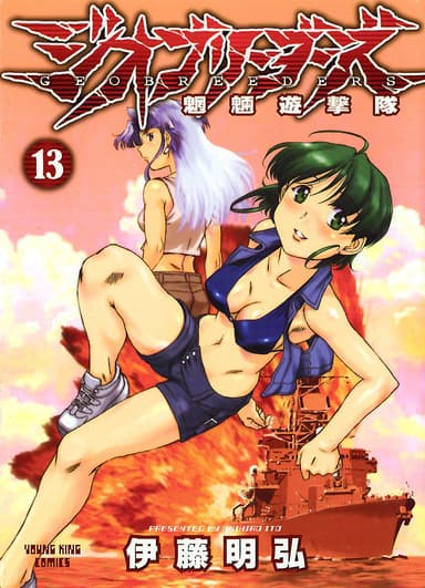 Vol. 13