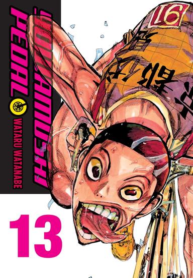 Vol. 13