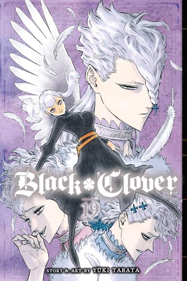 Vol. 19