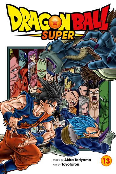 Vol. 13