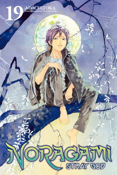 Vol. 19
