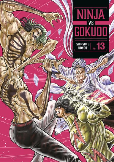 Ninja Vs. Gokudo