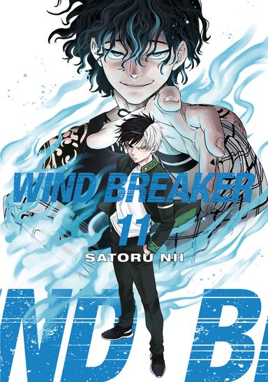 Vol. 11