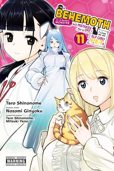 Vol. 11
