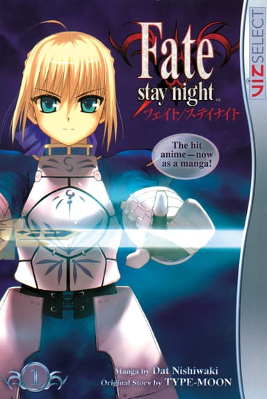 Fate/stay night