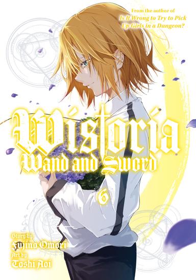 Vol. 6