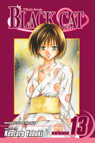 Vol. 13