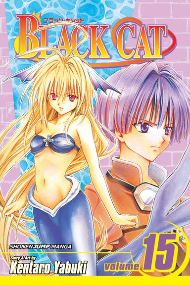Vol. 15
