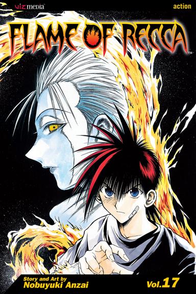 Vol. 17