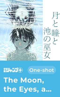 The Moon, the Eyes, and the Shrine Maiden of the Lake