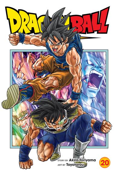 Vol. 20