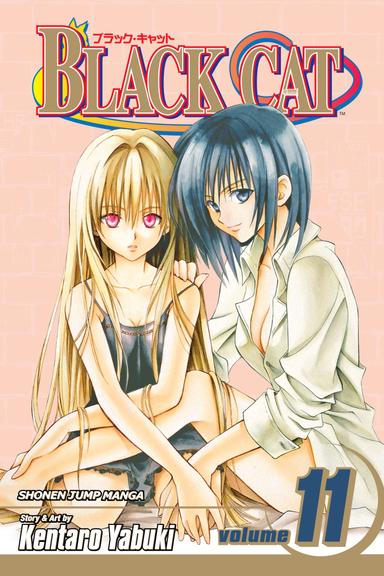 Vol. 11