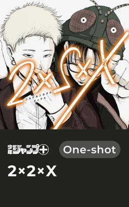 2×2×X