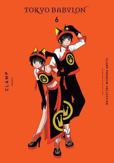 Vol. 6