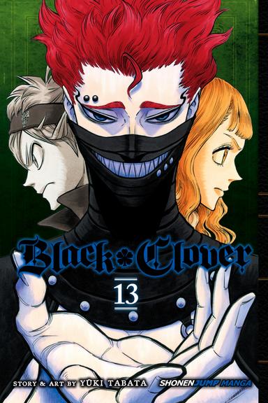 Vol. 13