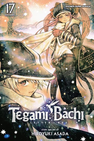 Vol. 17