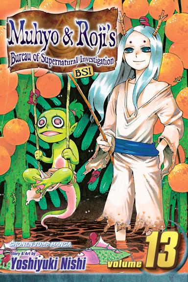 Vol. 13