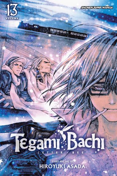 Vol. 13