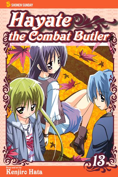Vol. 13