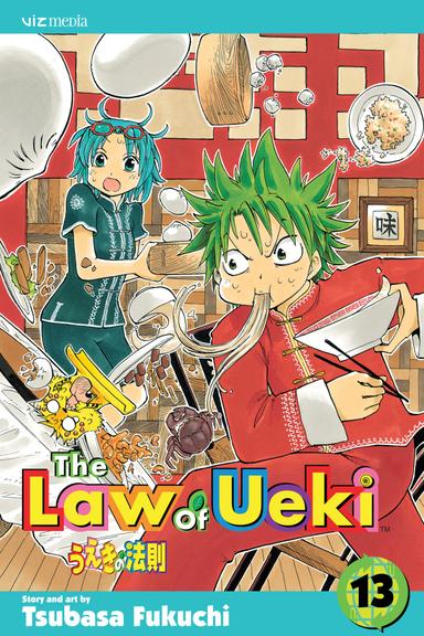 Vol. 13