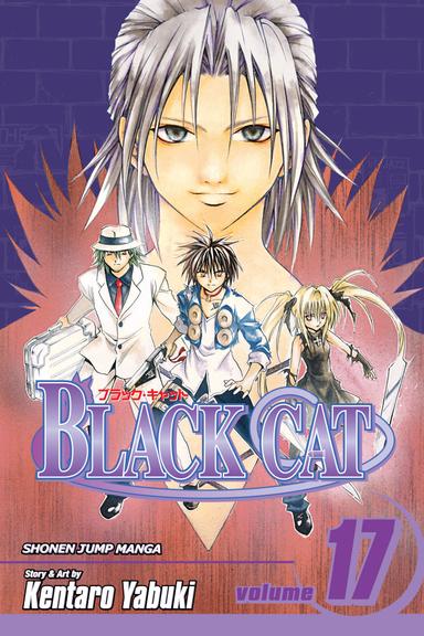 Vol. 17