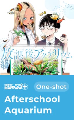 Afterschool Aquarium