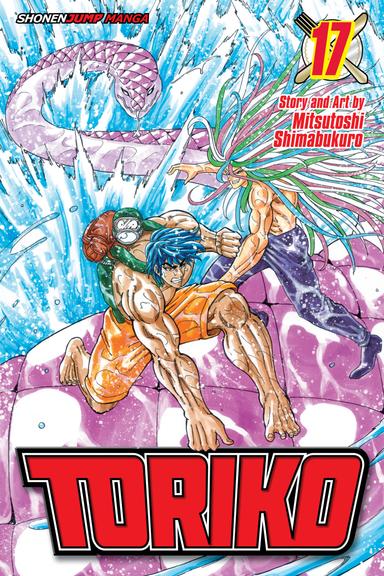 Vol. 17