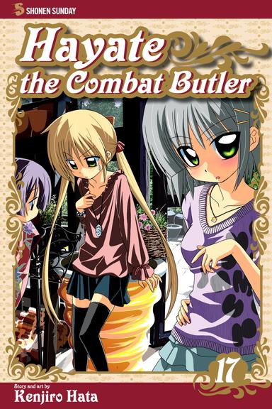 Vol. 17