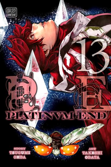 Vol. 13